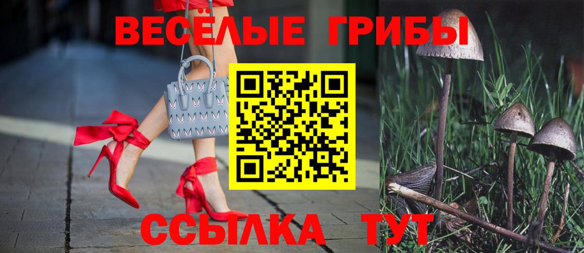 Галлюциногенные грибы Psilocybe Надым
